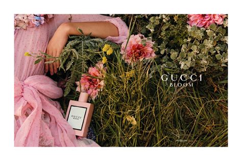 gucci perfume dakota